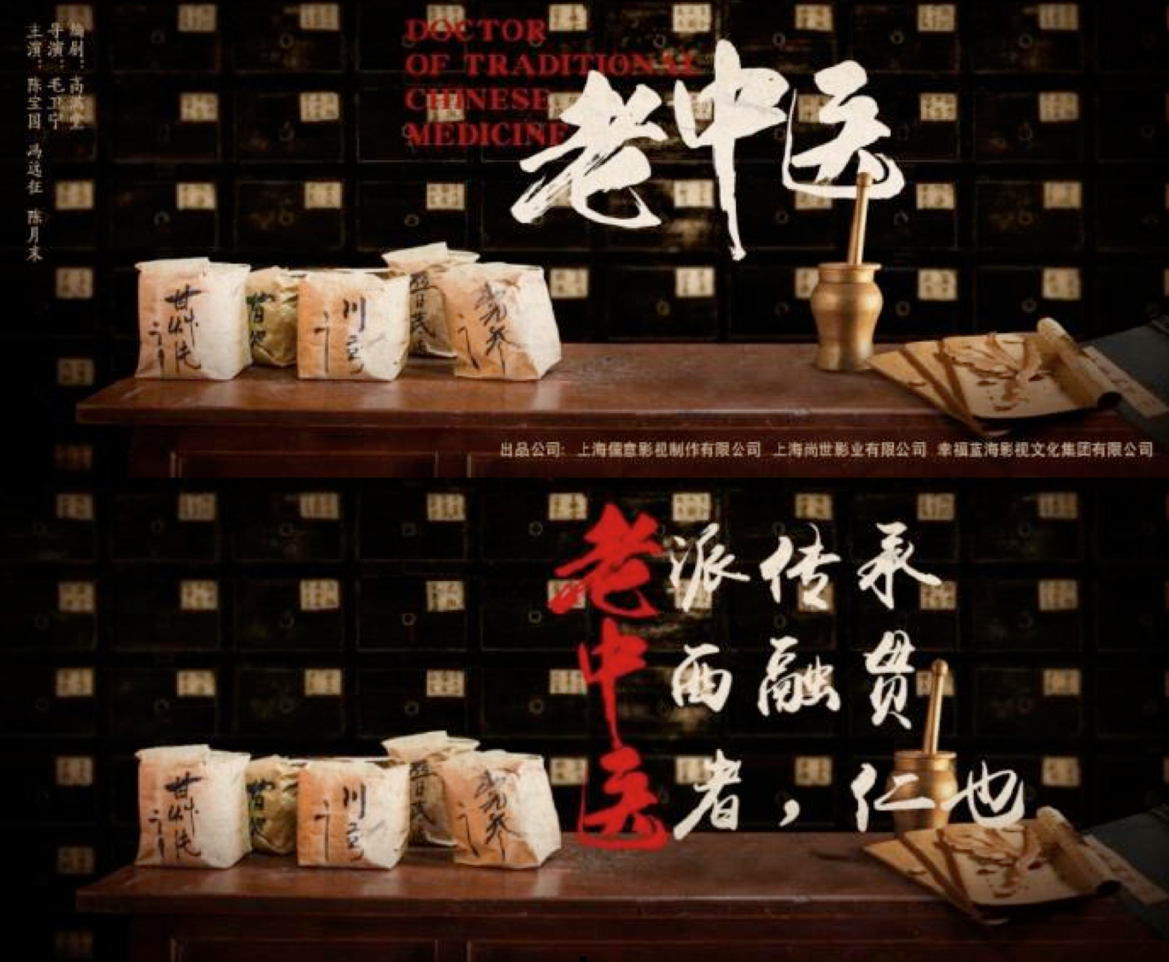 Doctor of Traditional Chinese Medicine 《老中医》 cover